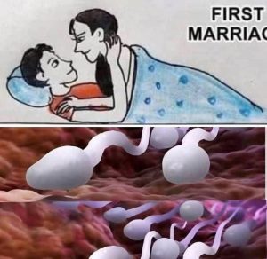 🛑 Studies reveal that swallowing your partner’s semen… Read More
